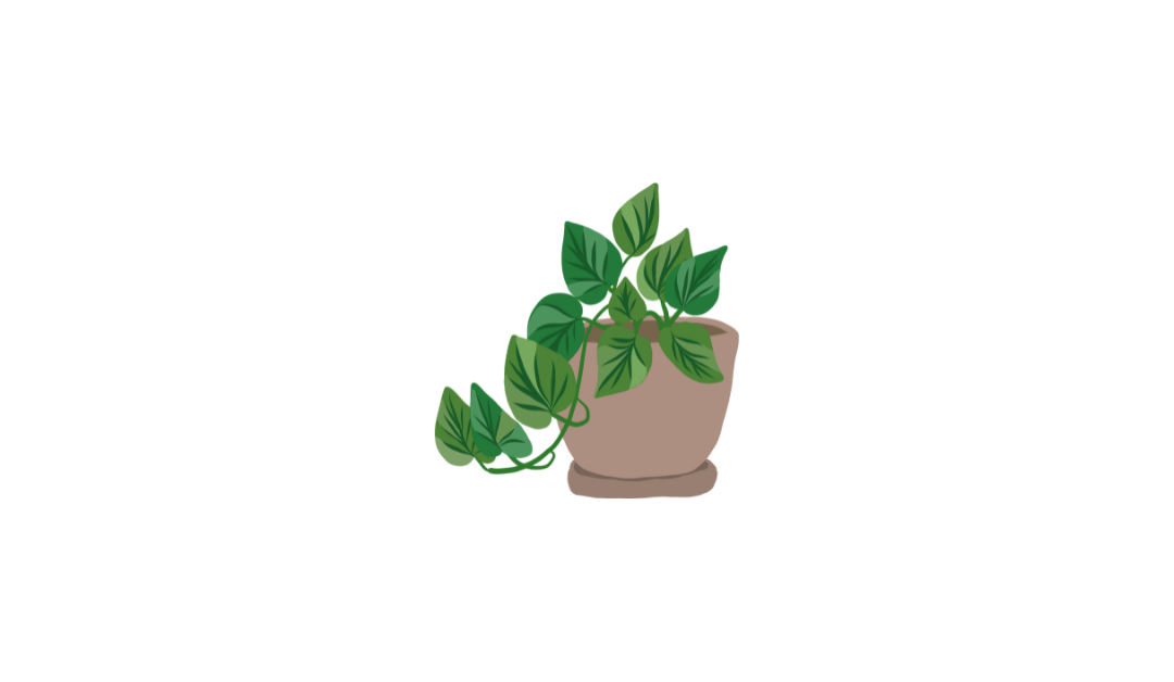 An illustration of a green pothos plant in a brown pot